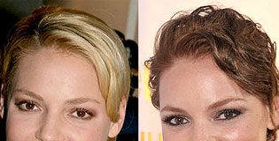 Katherine Heigl in a Brunette Version with Good Reason