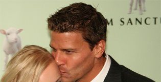 Bergman and Boreanaz Are Busy Patching up Their Marriage