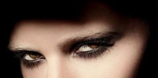 Summer 2010 Makeup Collection Giorgio Armani Bronze