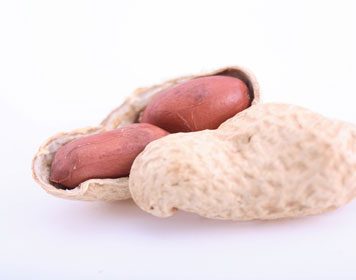 Peanut Helps Lower Cholesterol Levels