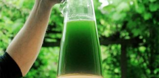 Latro Lamp That Will Light up When You Breathe out