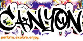 Canyon Graffiti Computer Accessories to Make your PC Stand out