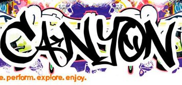 Canyon Graffiti Computer Accessories to Make your PC Stand out