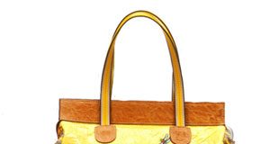 The New Face of Fendi Bags