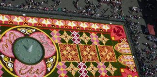 800k Begonia Carpet Brightens up Brussels