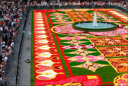 Brussels Grand Place Carpet 2010