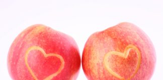 Sex Is What Makes Your Brain Develop