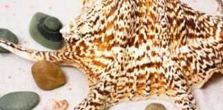 Secret to a Perfect Vacation