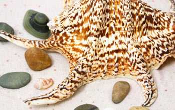 Secret to a Perfect Vacation