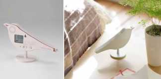 Get Awakened by Birds: Bird Alarm Clock