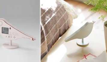 Get Awakened by Birds: Bird Alarm Clock