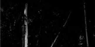 Elie Saab presents the first collection of wedding dresses prêt-a-porte