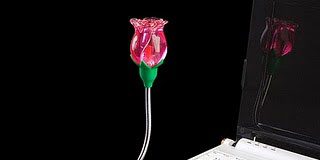 Rose Glows the Night with the Rose USB Lamp