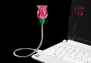 Rose Glows the Night with the Rose USB Lamp