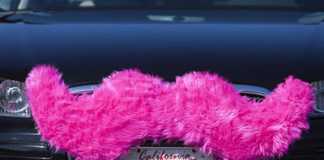 Carstache Gives Your Car Manly Look