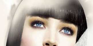 Holiday 2010 Shiseido Essential Elegance Palette