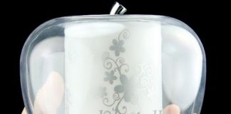 Cool USB Apple Shaped Speaker Lights up Your Day