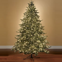 Worlds Best Prelit Noble Fir by Hammacher