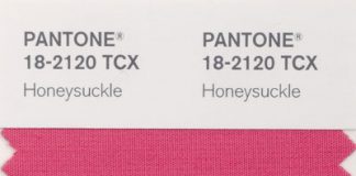 Hottest 2011 Color Trend