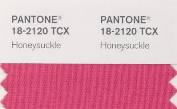 Hottest 2011 Color Trend