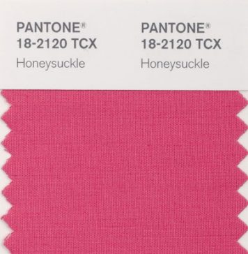 Hottest 2011 Color Trend