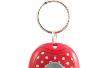 Handy and Effective Alarm – Ila Pebble Keyring