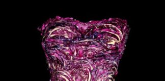 Wearable Foods Dresses Collection