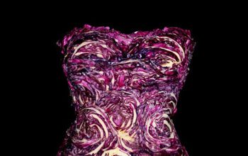 Wearable Foods Dresses Collection