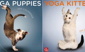Cute Yoga Dog and Cat 2011 Calendar