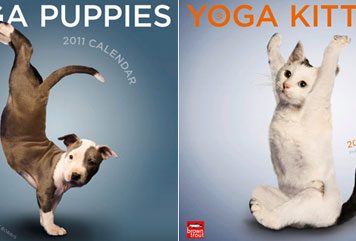 Cute Yoga Dog and Cat 2011 Calendar
