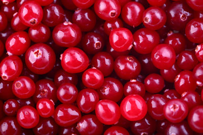 Fresh cranberry