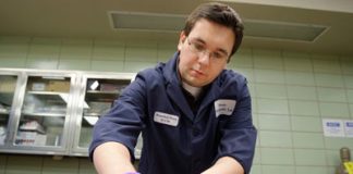 Bird Rain – Apocalypsis?