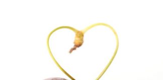 Perfect Valentine’s Day Date