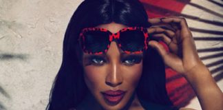 Dolce & Gabbana Animalier Eyewear Line