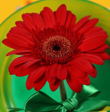Romantic Things Men Do on Valentine's Day