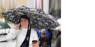 Umbrella Bag and Holder in One