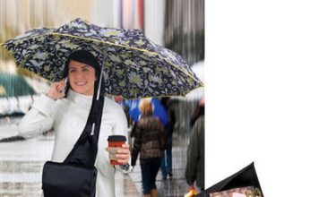 Umbrella Bag and Holder in One