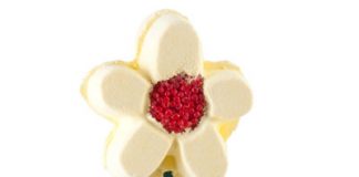 New Spring 2011 Lush Bath Bombs