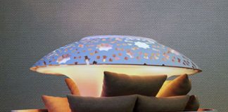 Oriental Portable Heating Gadget Canoon