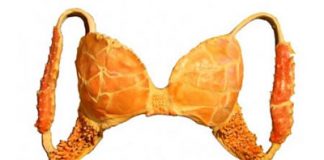 The Lobster Bra by Laura Ann Jacobs