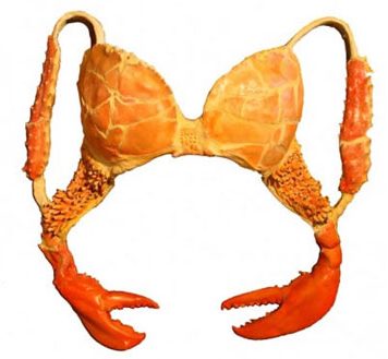 The Lobster Bra by Laura Ann Jacobs