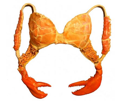 Laura Ann Javobs: Lobster Bra
