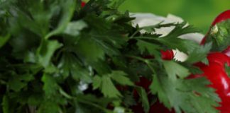 Celery and Parsley Help Fight Breast Cancer