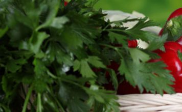 Celery and Parsley Help Fight Breast Cancer