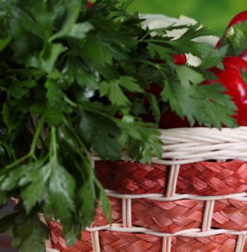 Celery and Parsley Help Fight Breast Cancer