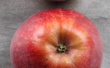 5 Reasons to Eat Apples