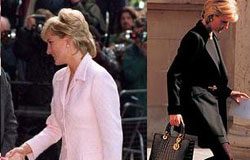 Lady Diana's Bag Inspired Dior Eye Shadow Palette