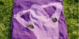 Gillette Pubes Towels Remind of Depilation