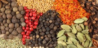 Flavors to Make Unsalted Food Appear Tastier