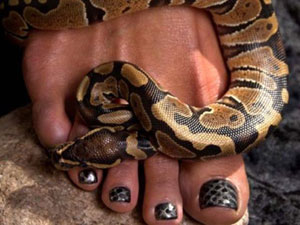 Expensive Beauty Procedures: Snakeskin Pedicure